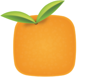 Square Orange, LLC Logo